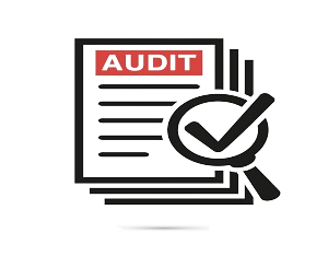 Social Media Audit Services